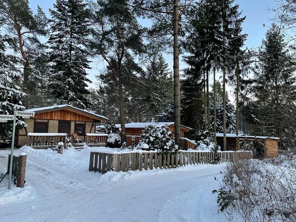 Haus Brunhilde Villa Plodda Eksteriør billede